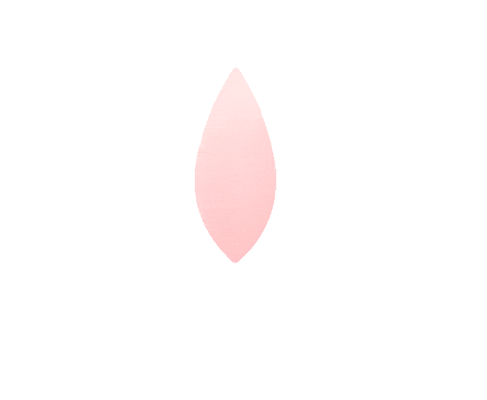 logo-nenufar-animar